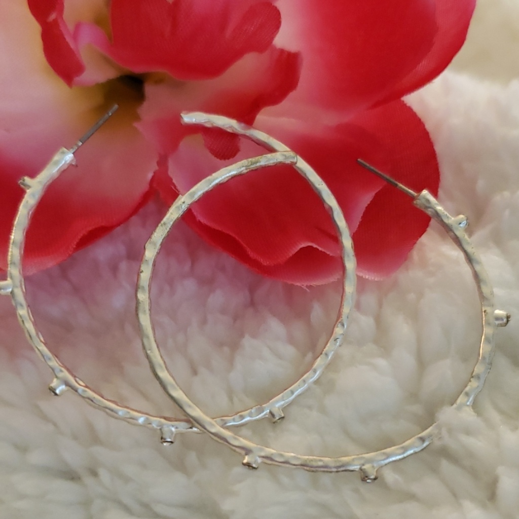 Silver Loop Earrings